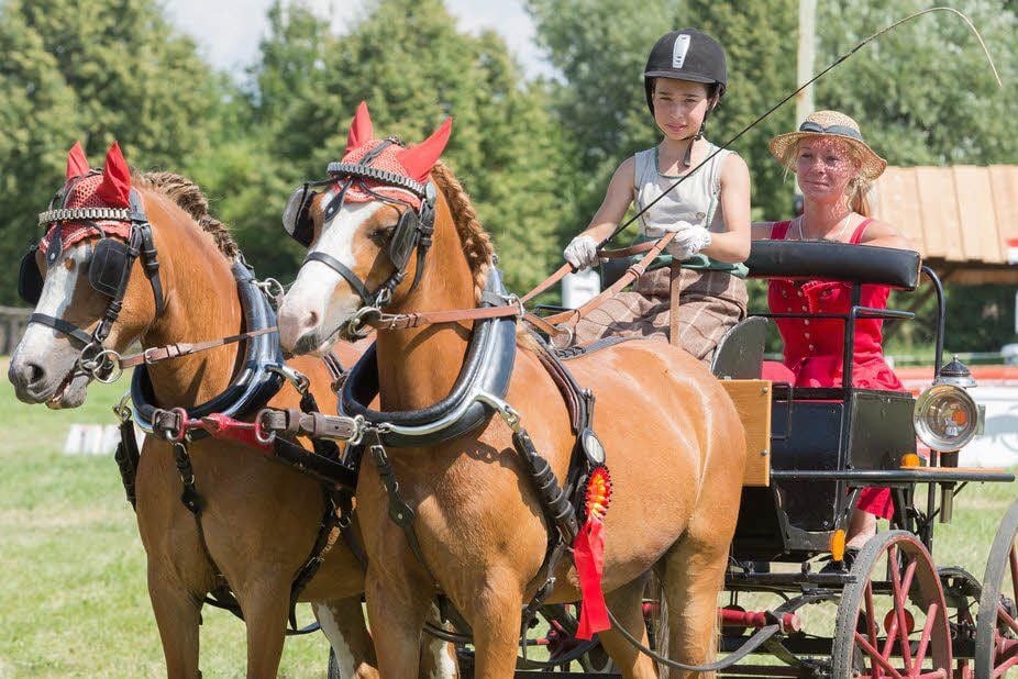 Luise Siegel (RFV Naumburg) wird mit Beifahrerin Tina Hoppe und ihrem Pony-Gespann Fünfte im Zweiphasen-Hindernisfahren.