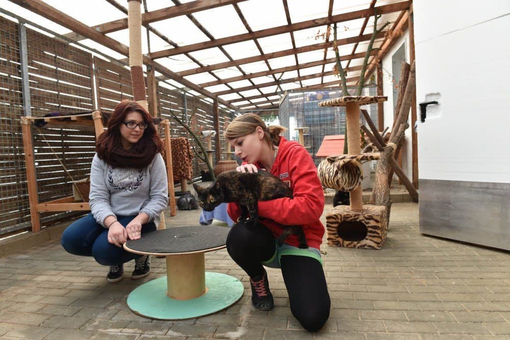 Die Praktikantinnen Jenny Klose (l.) und Jennifer Stolberg im neu gestalteten Katzenaußengelände.