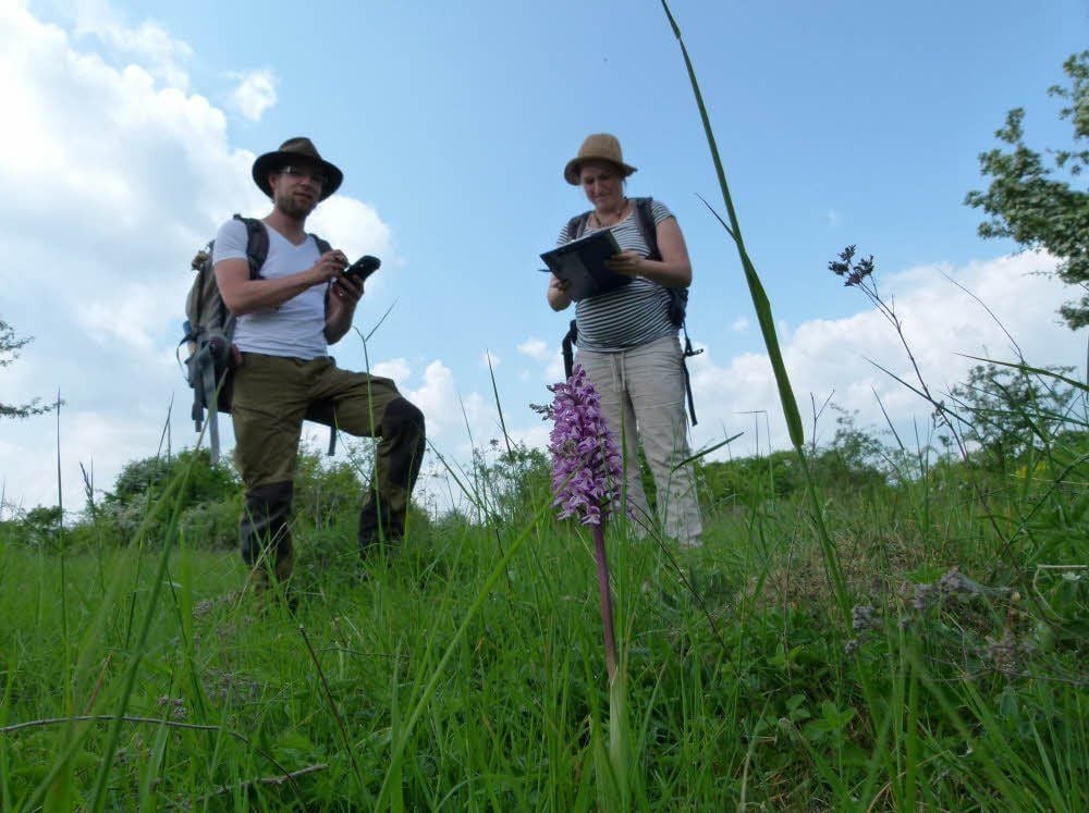 Martina Köhler und Georg Hiller von der Hochschule Anhalt erfassen regelmäßig der Artenbestand auf dem Muschelkalk-Plateau.