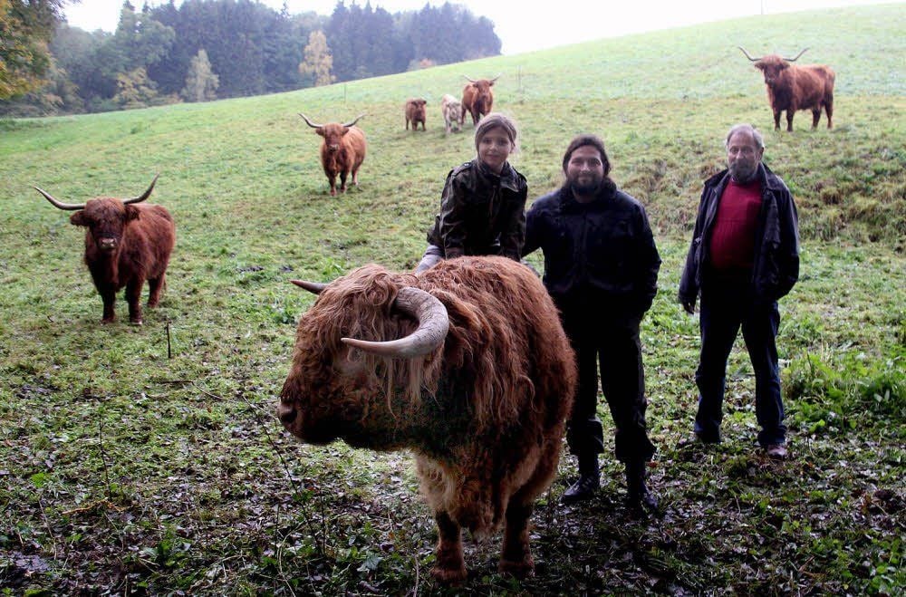 Wilfried, Matthias und Conrad Frenzel mit ihren Highlandern.
