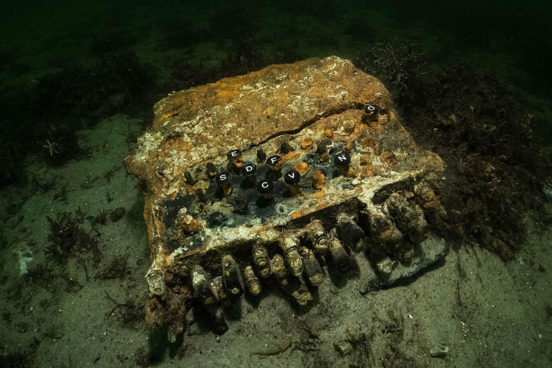 Bei der Suche nach herrenlosen Fischernetzen in der Ostsee haben Forschungstaucher die Enigma-Chiffriermaschine gefunden.