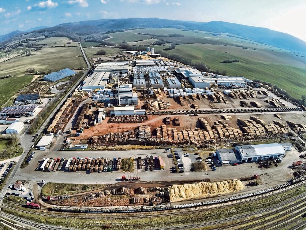 Das Ante-Werk in Rottleberode ist das größte Unternehmen, das im Landkreis Mansfeld-Südharz in der Holzbranche tätig ist. Der Innovations-Hub „Zukunft Holz und Klima“, den Kreis und Land jetzt gründen, soll auch kleineren Firmen bessere Chancen auf dem Markt vermitteln.