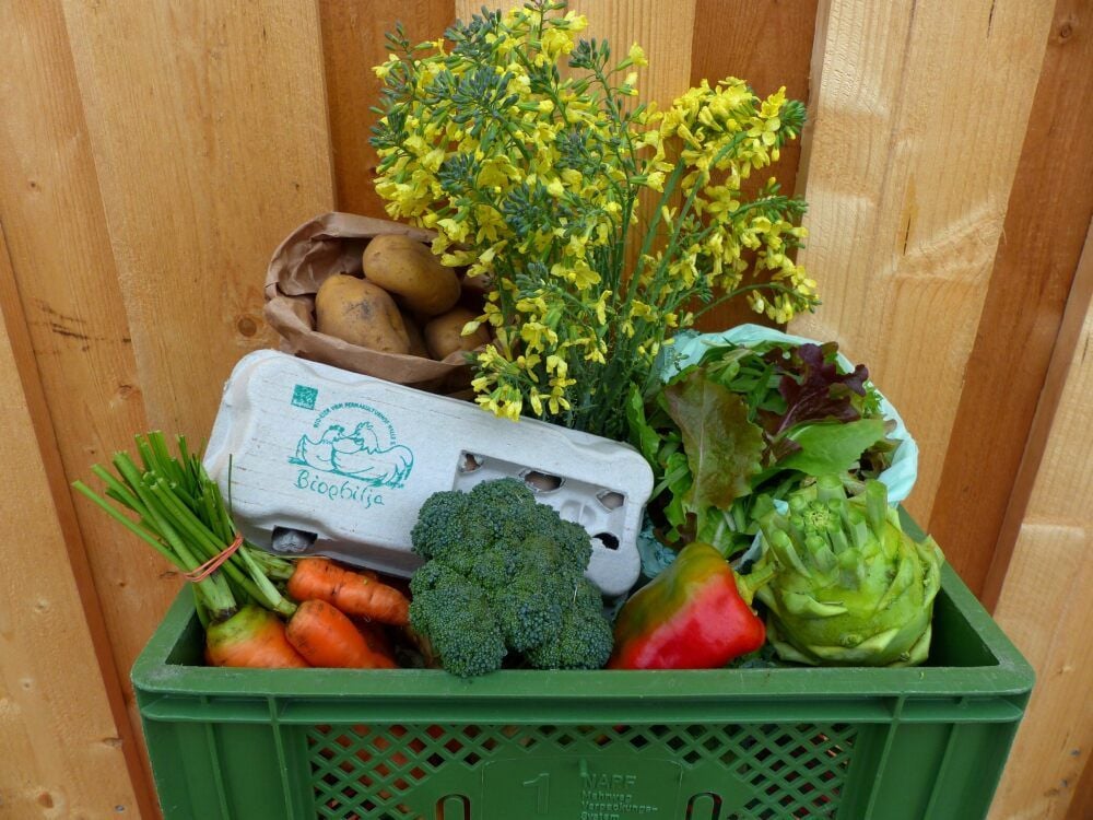 In der Biokiste vom Biophilja Permakulturhof Halle stecken auch Langeneichstädter Produkte.