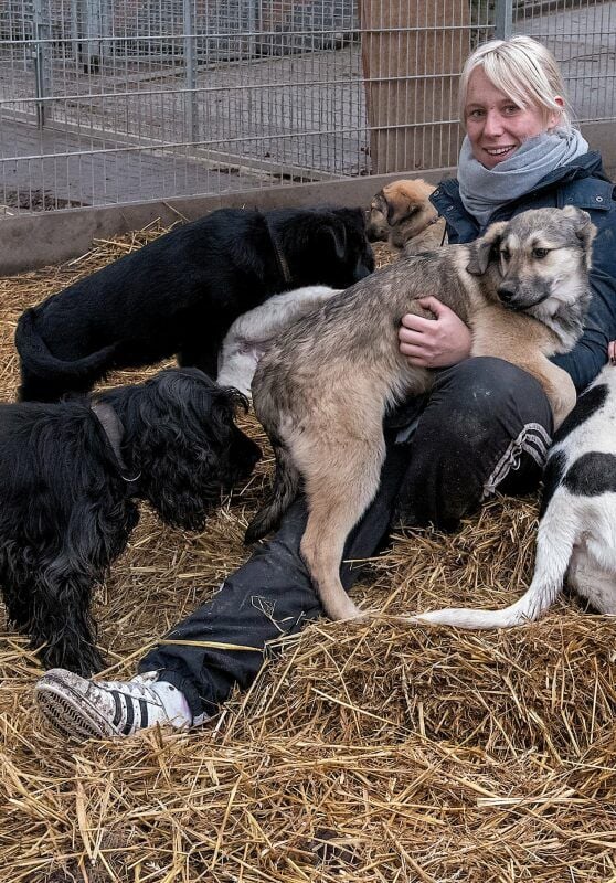 Im Tierheim am Werder gibt es für Julia Löser immer etwas zu tun, aber manchmal wird auch einfach mit den Hunden getobt und gekuschelt.