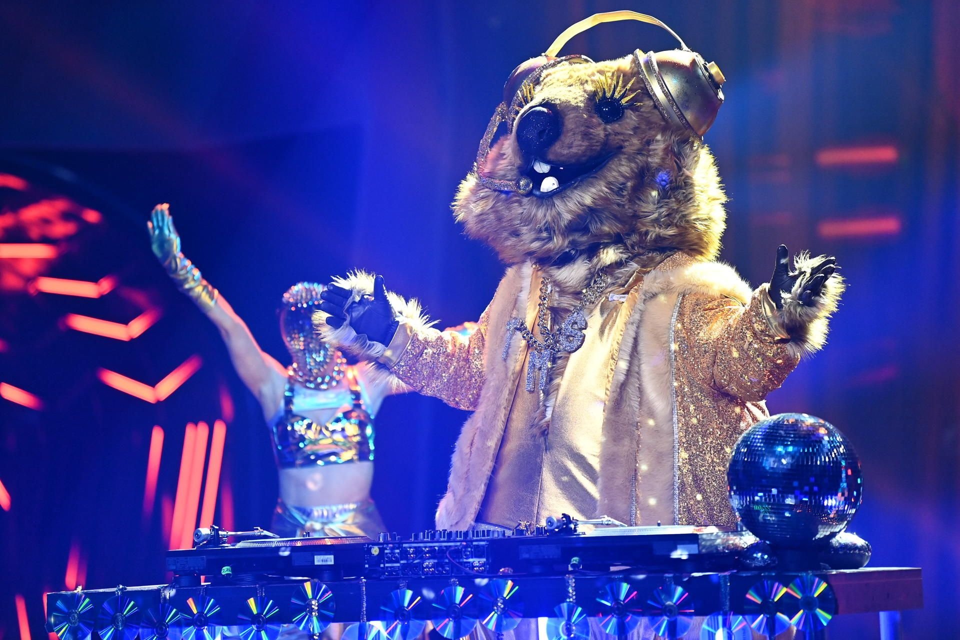 Die Figur "das Quokka" tritt bei der ProSieben-Show «The Masked Singer» auf.
