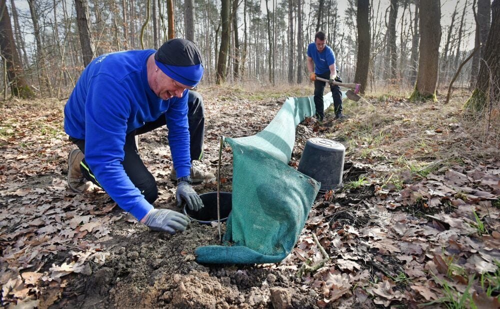 Behälter werden in die Erde eingelassen. Sie sind Transportmittel für Amphibien.