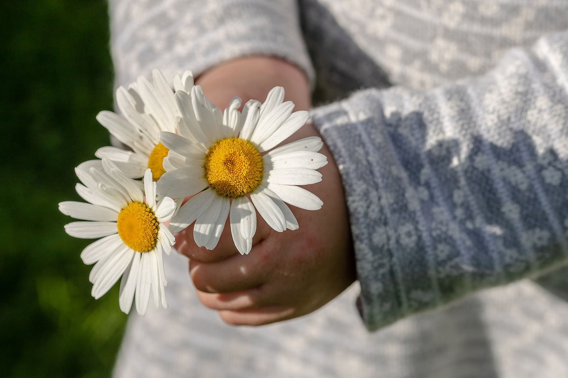 Zum Frauentag werden gern Blumen verschenkt - aber wie steht es um die Gleichberechtigung?