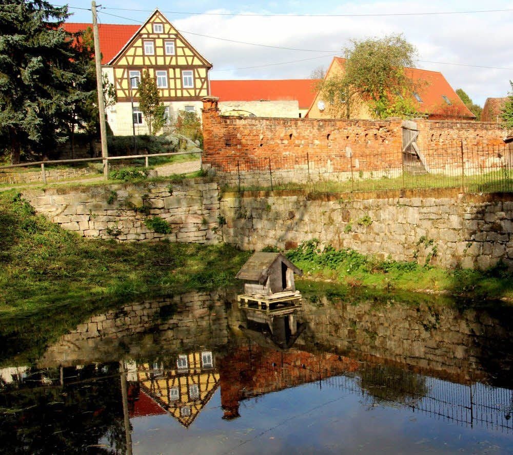 Seidewitzer Ansicht: der Dorfteich.