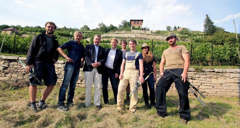 Vor ihrem Weinberg in Freyburgs bester Lage: Besitzer, Pächter und Vertreter des Vereins „Wein Rockt!“.