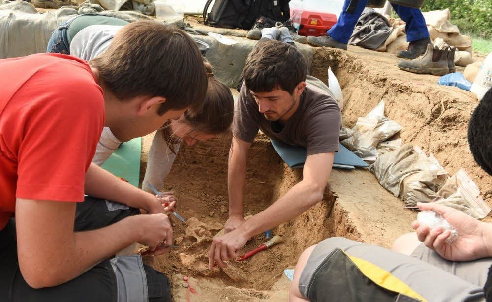 Die Studenten Marcel Hoff, Lara Peter und Tom Noack (von links) legen während ihrer Grabungen in einem Gebiet oberhalb der Saale nahe Lengefeld die über 15000 Jahre alten Knochen eines Rentieres frei.