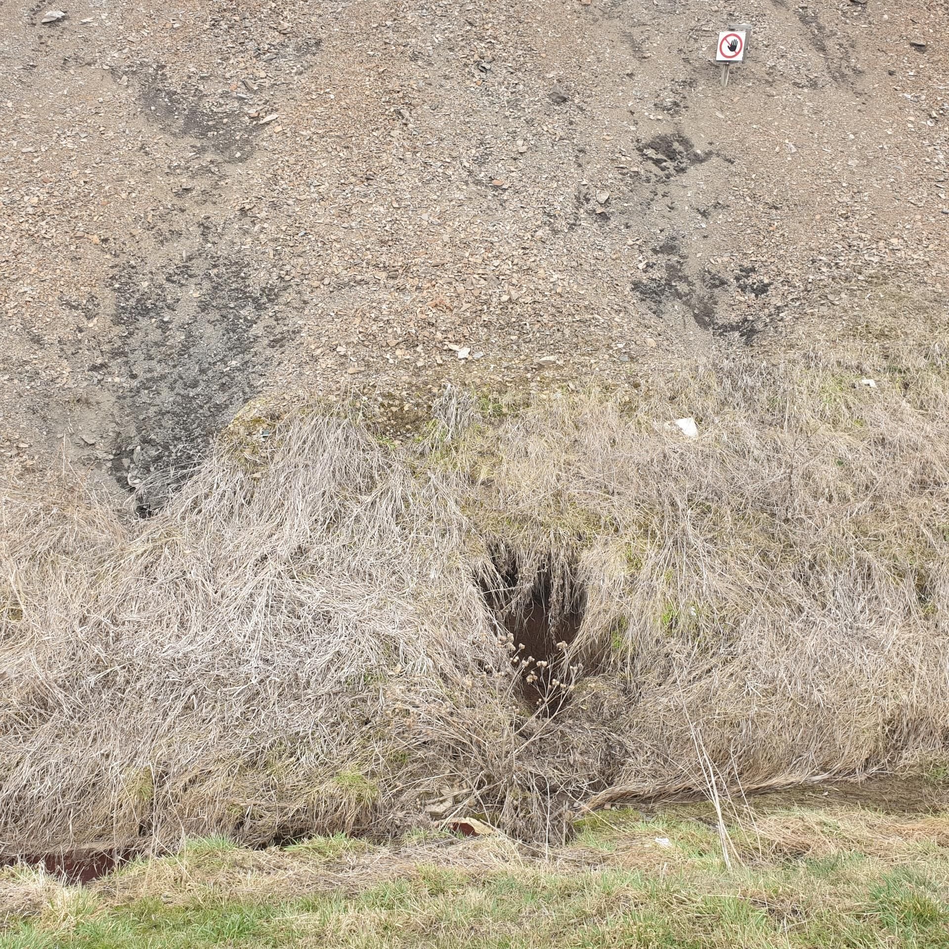 Am Wolferöder Graben bei Wimmelburg sind Erdfälle entdeckt worden.