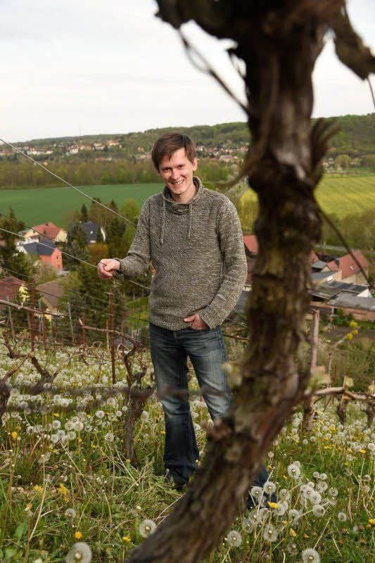 Berliner, Geisenheimer, Neu-Freyburger: Sören Siegmund in Flechtners Weinberg in der Lage Steinmeister.