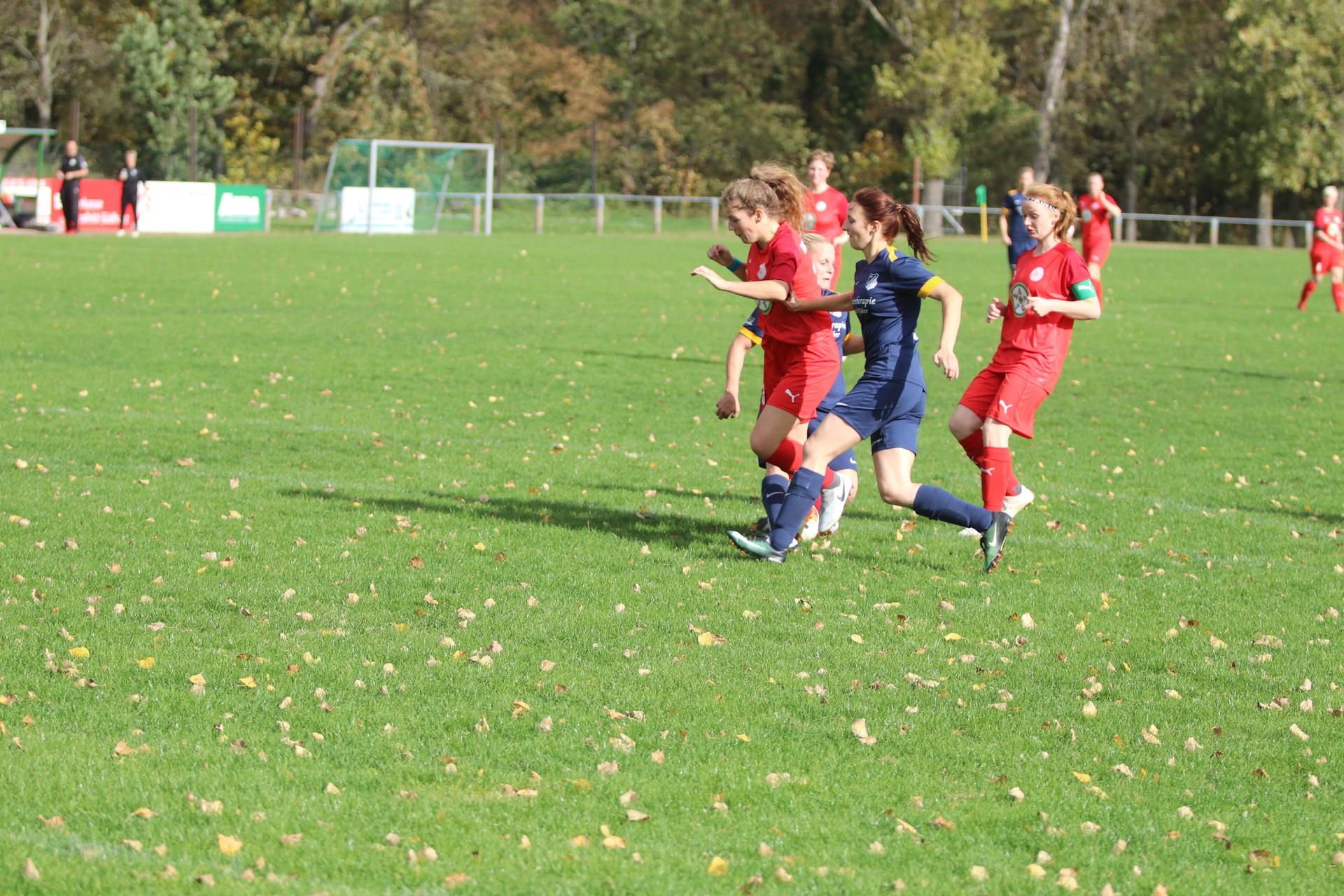 Die Frauen-Elf von Germania Hergisdorf (blau) spielt in der Landesliga. Hier ist auch der HFC ein Kontrahent.