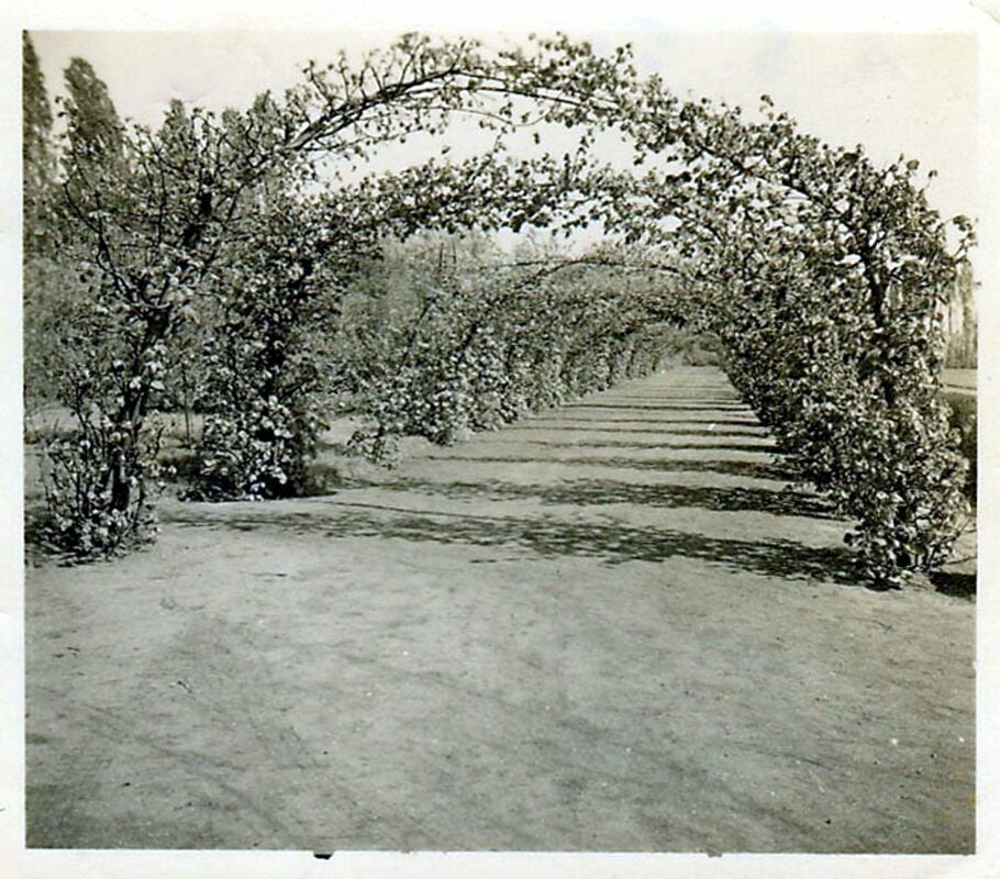 Gehört zur Historie: der Eingang zum Sportplatz in Bergwitz.