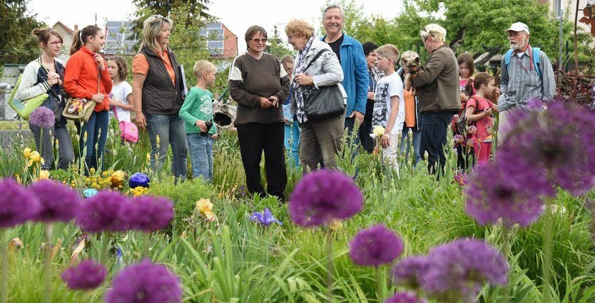 Im blütenreichen Garten von Familie Bergmann in Großjena informieren sich die Mädchen und Jungen der Umweltschule über die Artenvielfalt.