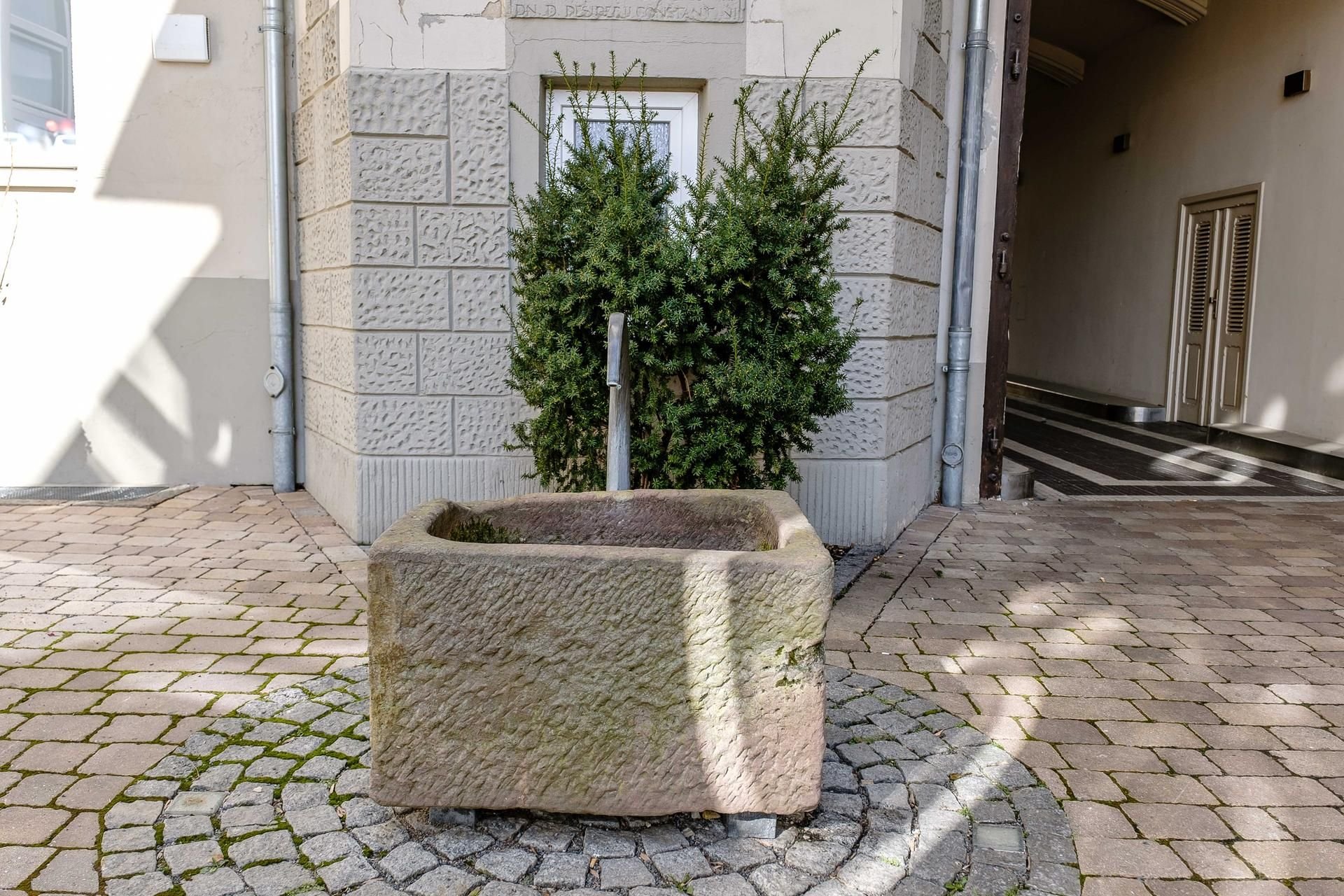 Röhrwasserbrunnen in Wittenberg