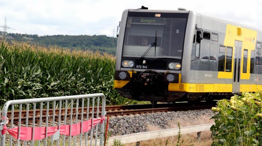 Der Mais neben der Bahnstrecke gedeiht prächtig. Am unbeschrankten Übergang bei Reinsdorf erschwert das die Sicht.