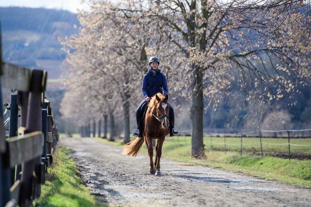 Cara - hier unter Tina Matuschke - ist neben dem Reitpony Ginger das zweite Vereinspferd der SG Eintracht, nachdem Levis verkauft wurde.