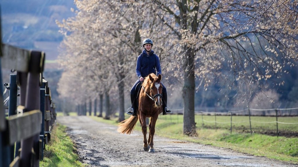 Cara - hier unter Tina Matuschke - ist neben dem Reitpony Ginger das zweite Vereinspferd der SG Eintracht, nachdem Levis verkauft wurde.
