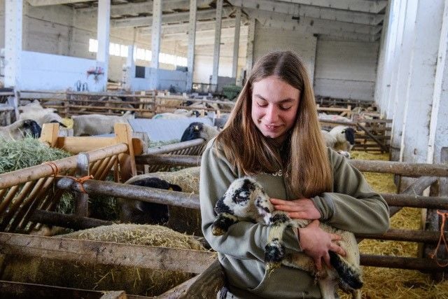 Celina Zschenker, Auszubildende zur Schäferin, mit einem Lamm auf dem Arm. Rund 1.100 Jungtiere kommen in Müncheroda zur Welt.