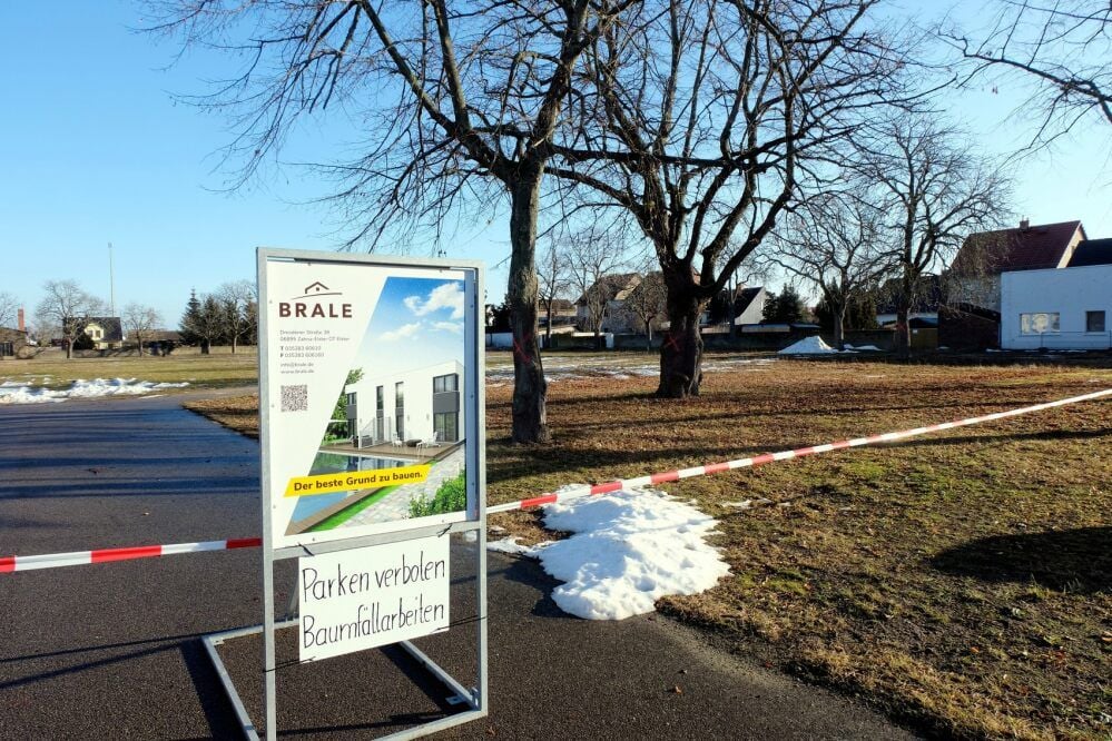 Ein Schild weist auf dem „Alten Sportplatz“ in Elster darauf hin, dass hier Bäume gefällt werden sollen.