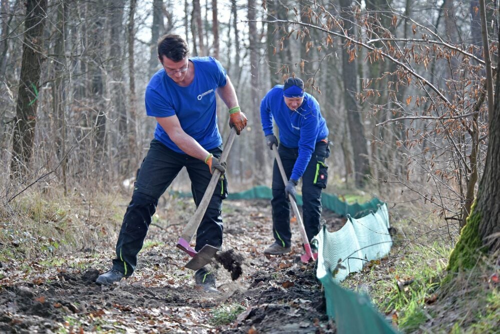 Steffen Geisthardt (links) und Jan Merkel helfen im Wald.