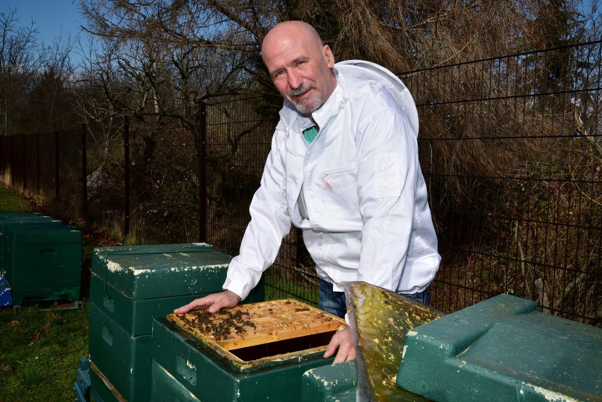 Imker Heiko Wesche aus Könnern schaut nach, ob seine Bienen den Winter gut überstanden haben.