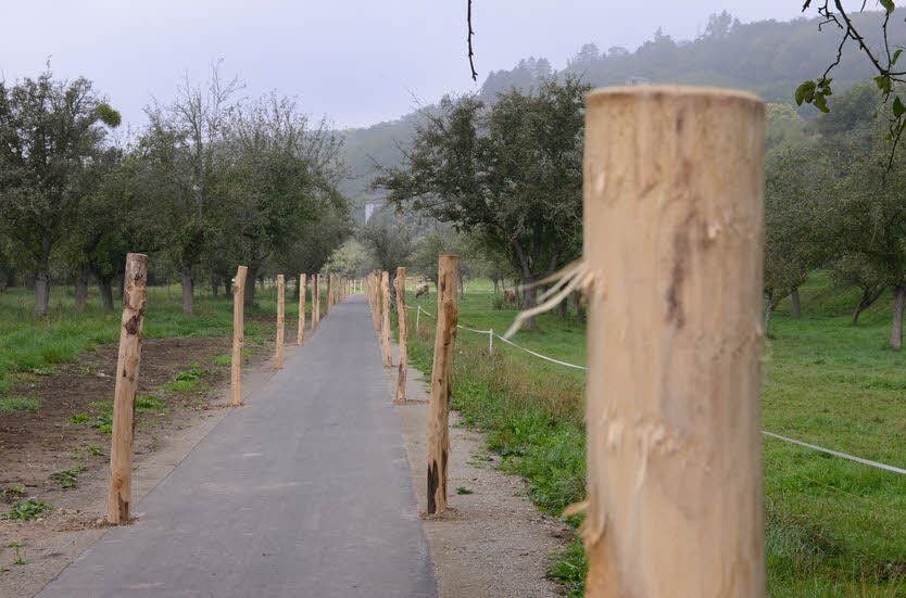 Saale-Radwanderweg