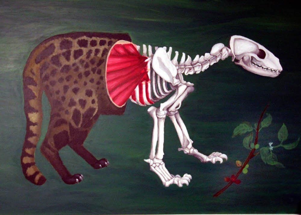 Anatomie einer „Kaffeekatze“ von Stephanie Binas. Diese Schleichkatzen fressen Kaffeekirschen und scheiden sie wieder aus.