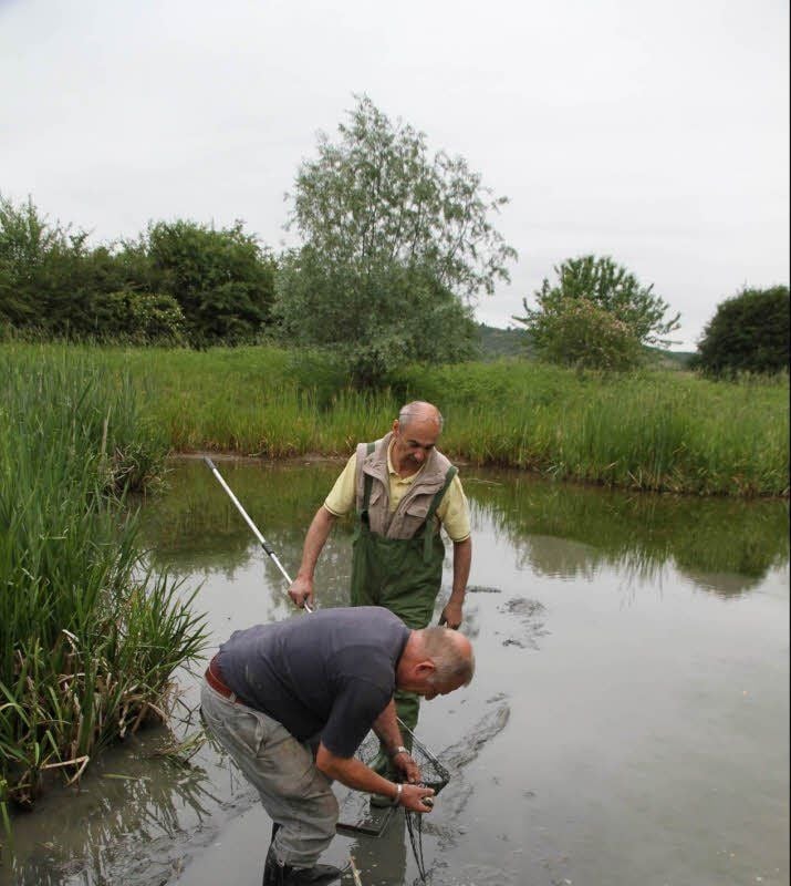 Dieter Schumann (hinten) und Gerd Förster, beides passionierte Angler, holen Karauschen aus einem der verschlammten Teiche des Seekurparkes in Bad Kösen, um diese umzusetzen. Das Foto rechts zeigt eine Aufnahme des Parkes von 1996. Alle fünf Teiche sind miteinander verbunden.