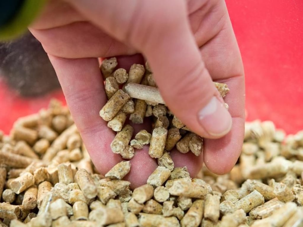 Aus getrocknetem, naturbelassenem Restholz werden ohne Zugabe von chemischen Bindemitteln, dafür aber unter hohem Druck die kleinen Pellets gepresst. Foto: Inga Kjer
