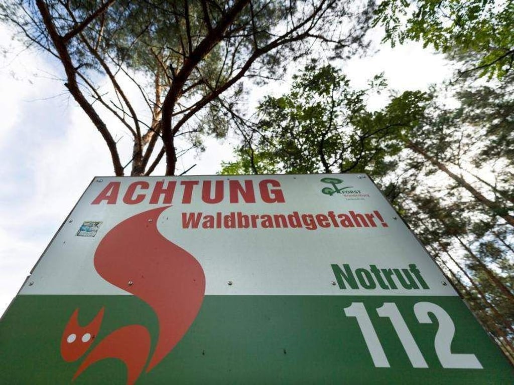 Eine Info-Tafel mit der Aufschrift "Achtung Waldbrandgefahr! Notruf 112" steht in einem Wald. Foto: Monika Skolimowska/Archiv