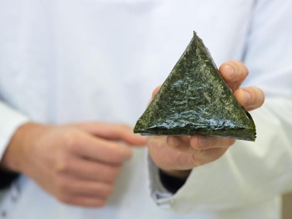 Dreieckiger Snack: Bei Onigiris wird gefüllter Reis mit einem Algenblatt umhüllt. Foto: Klaus-Dietmar Gabbert