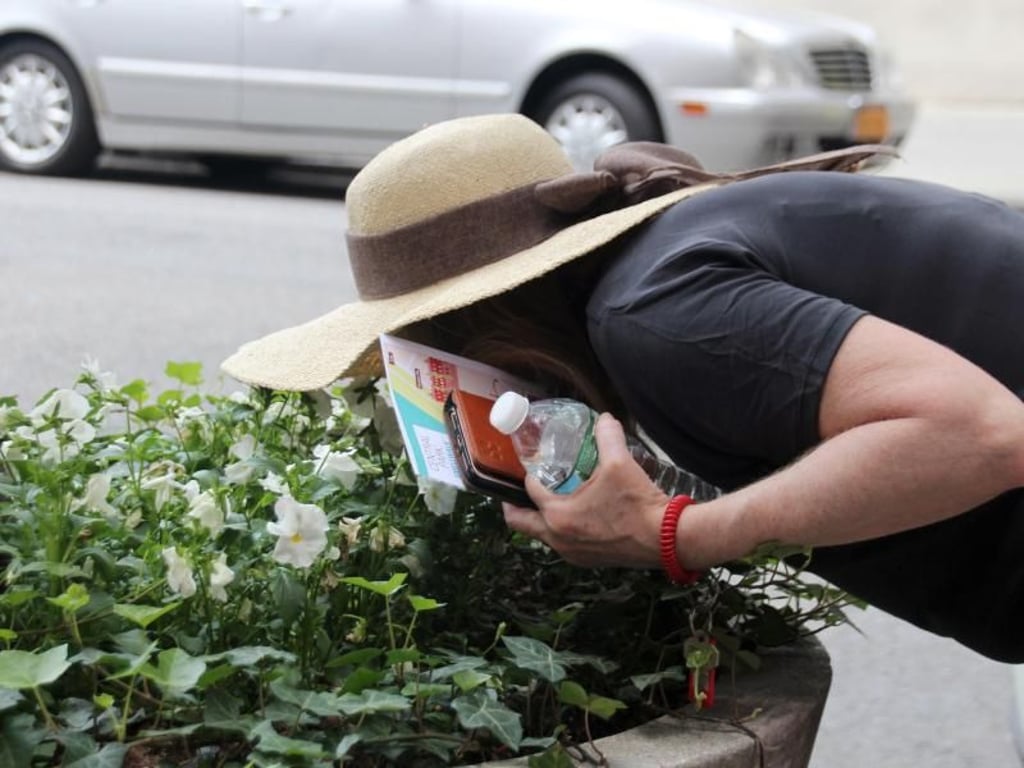 Die Teilnehmerin einer "Riech-Tour" steckt ihre Nase in ein Blumenbeet am Straßenrand. Foto: Christina Horsten