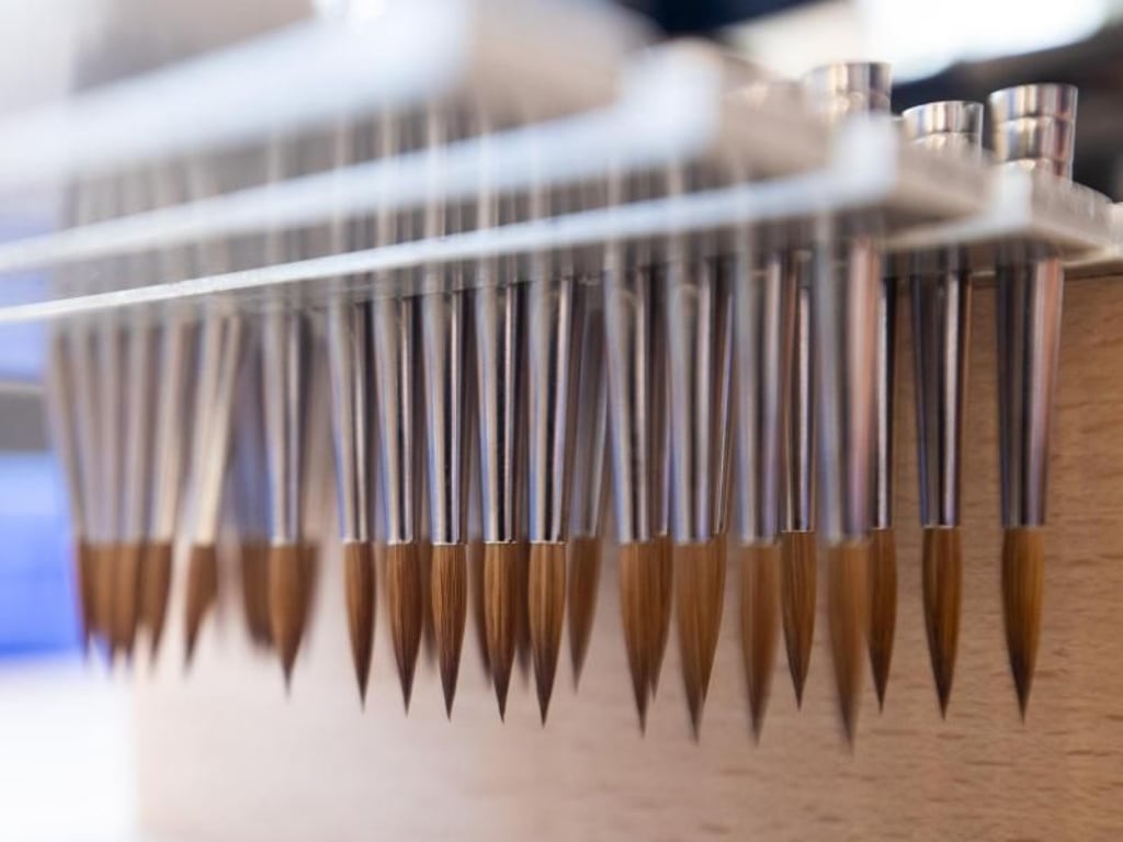 Pinsel-Köpfe hängen in der Werkstatt der Zahn Pinsel GmbH in einer Vorrichtung. Foto: Daniel Karmann