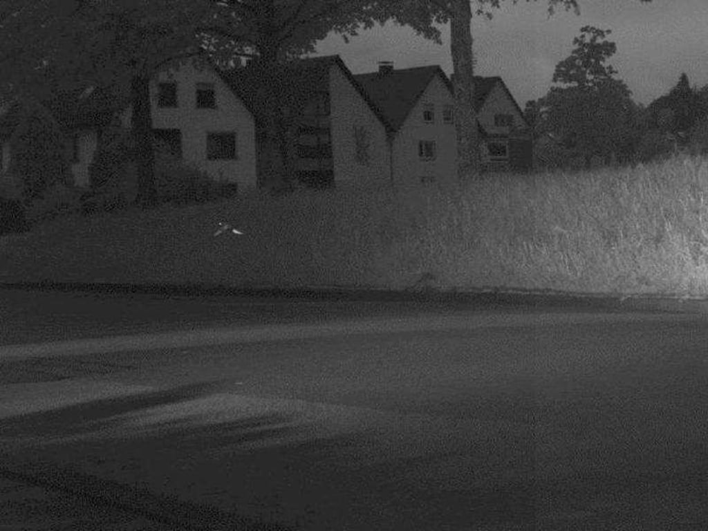 Schneller als die Polizei erlaubt. Foto: Polizei Zweibrücken