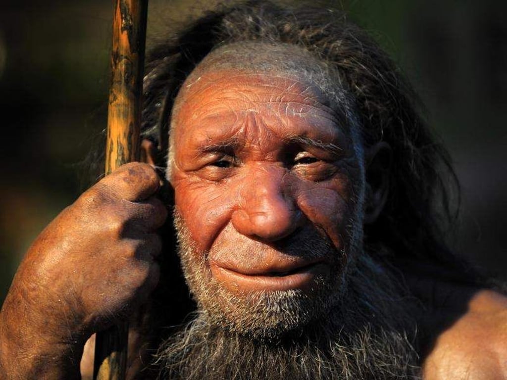 Nachbildung eines Neandertalers im Neanderthal-Museum in Mettmann. Foto: Federico Gambarini