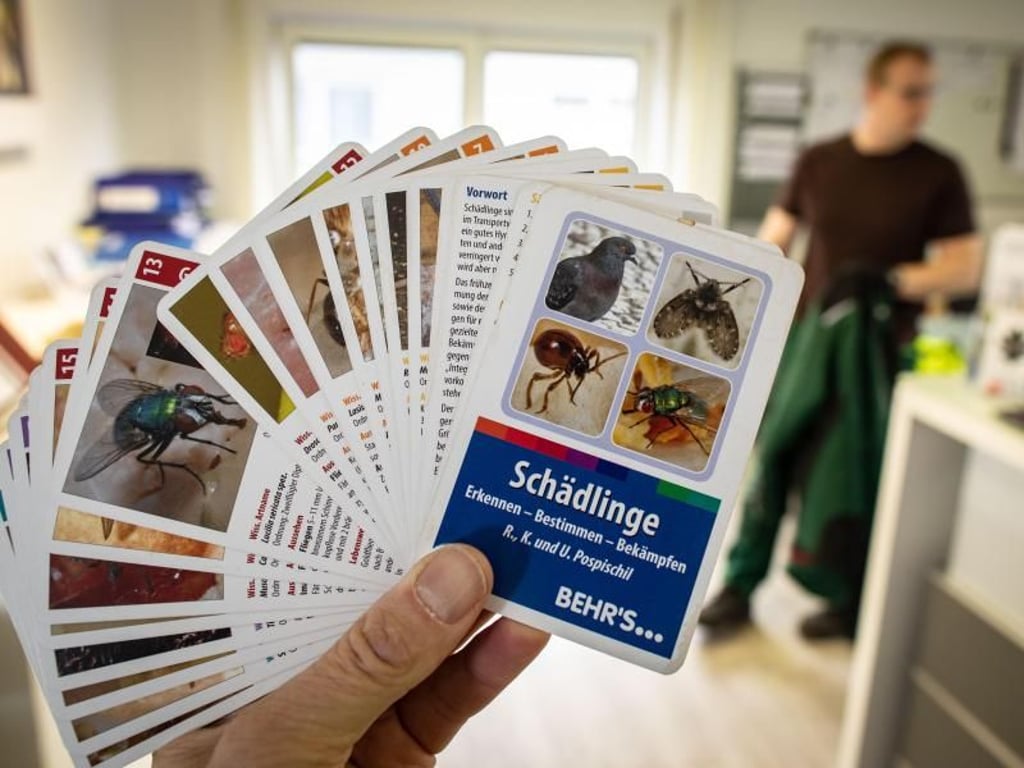 Detektivarbeit für Fachleute: Angehende Schädlingsbekämpfer lernen Schädlingsbefall festzustellen und Schädlinge richtig zu bestimmen. Foto: Frank Rumpenhorst