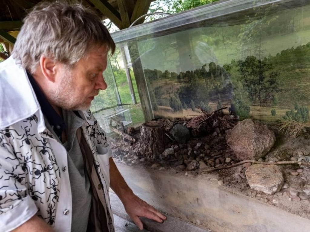 Jörg Beck ist Vorsitzender des Deutschen Ameisen-Erlebnis-Zentrums. Foto: Peter Steffen
