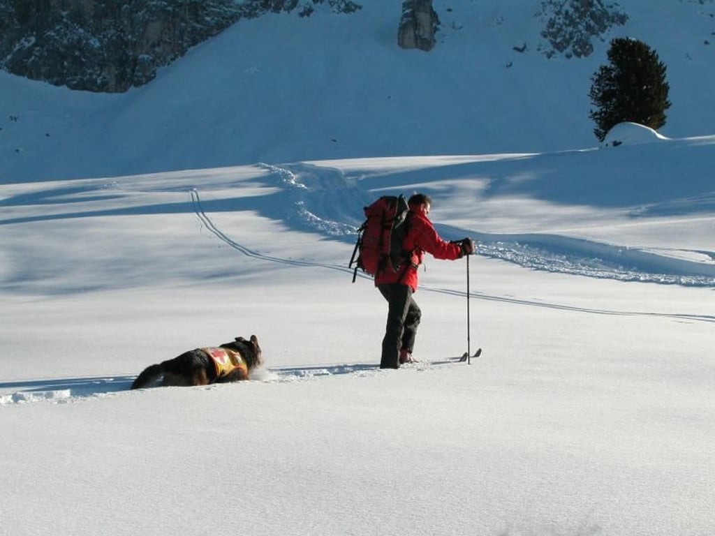 Bevor ein Hund in der Bergrettung zum Einsatz kommt, absolviert er eine etwa dreijährige Ausbildung. Foto: Walter Hoffmann