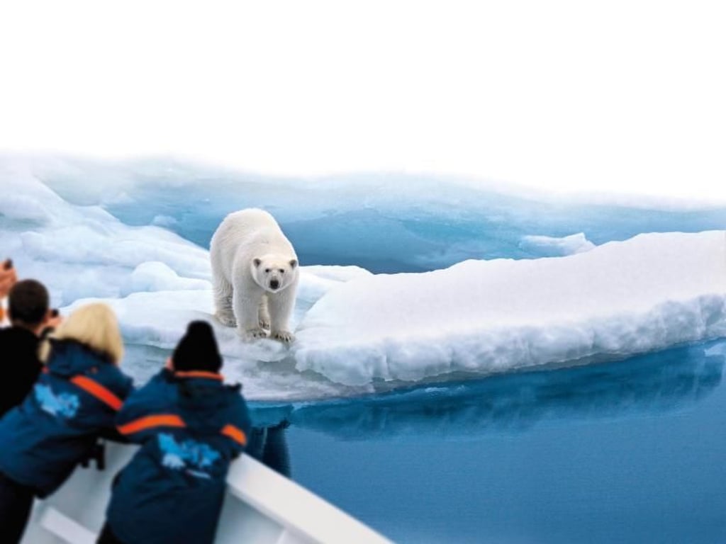 Auge in Auge mit dem Eisbären: Solche besonderen Begegnungen ermöglicht eine Expeditionskreuzfahrt. Foto: Hapag-Lloyd Kreuzfahrten
