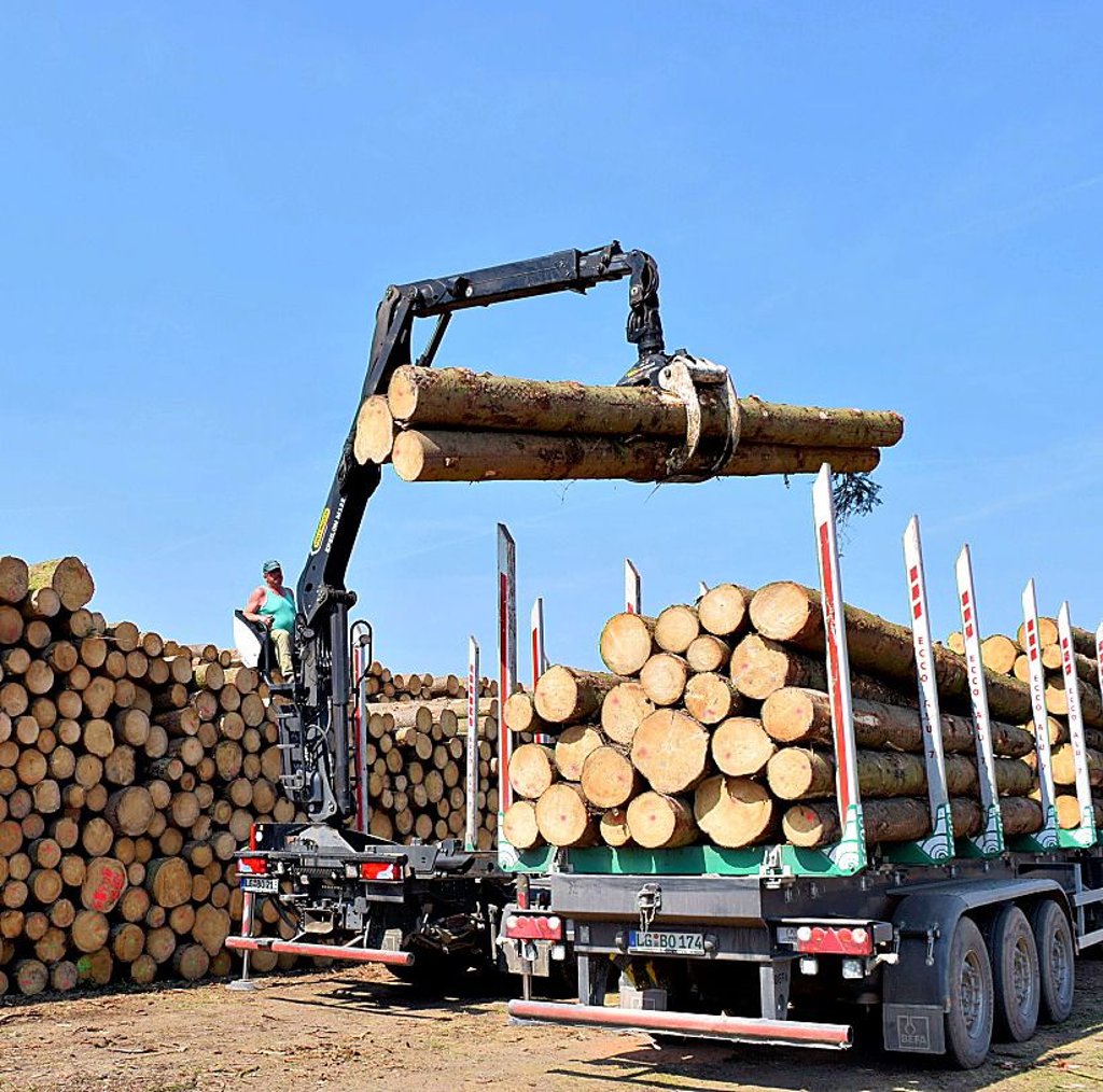 Ein Projekt soll die Wertschöpfung aus Holz fördern.