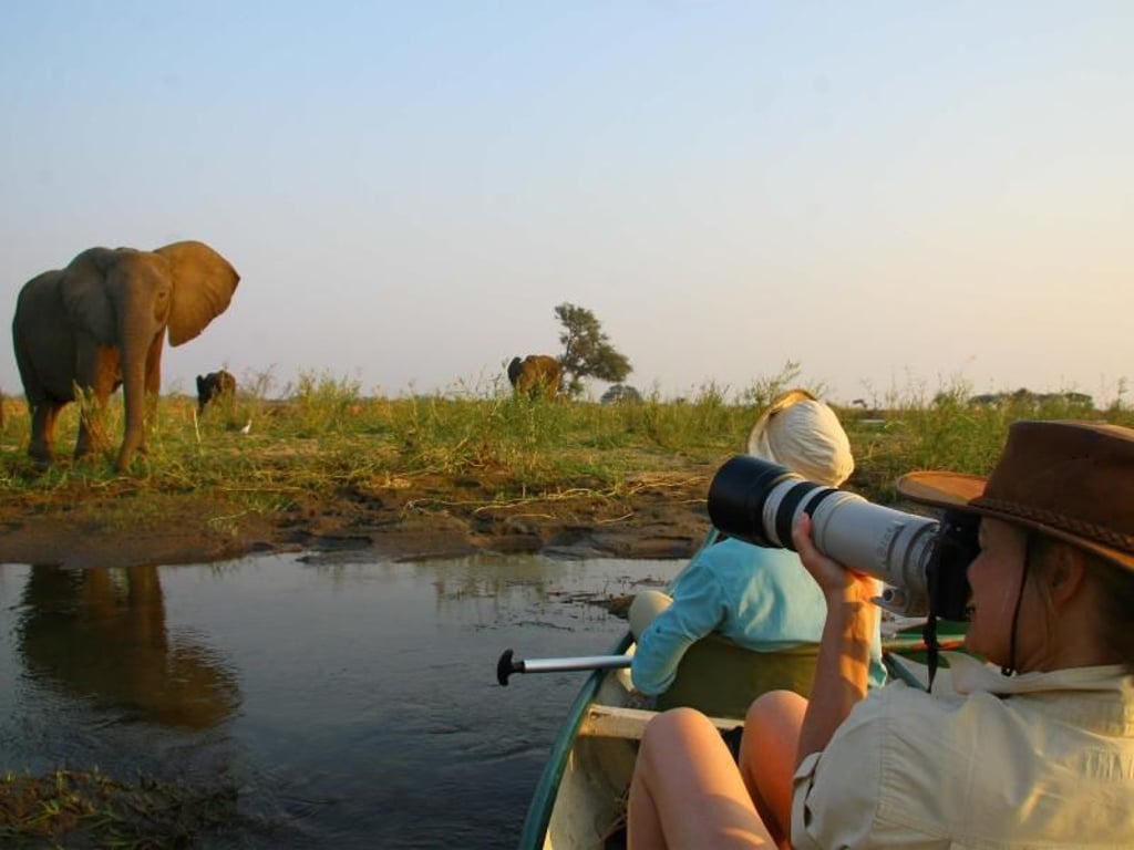 Bitte lächeln: Im Mana-Pools-Nationalpark können Besucher Elefanten aus nächster Nähe fotografieren. Foto: Markus Steiner