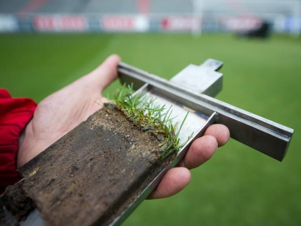 Die Bundesliga hat mit professionellen Platzwarten detailverliebte Rasenpfleger. Foto: Inga Kjer