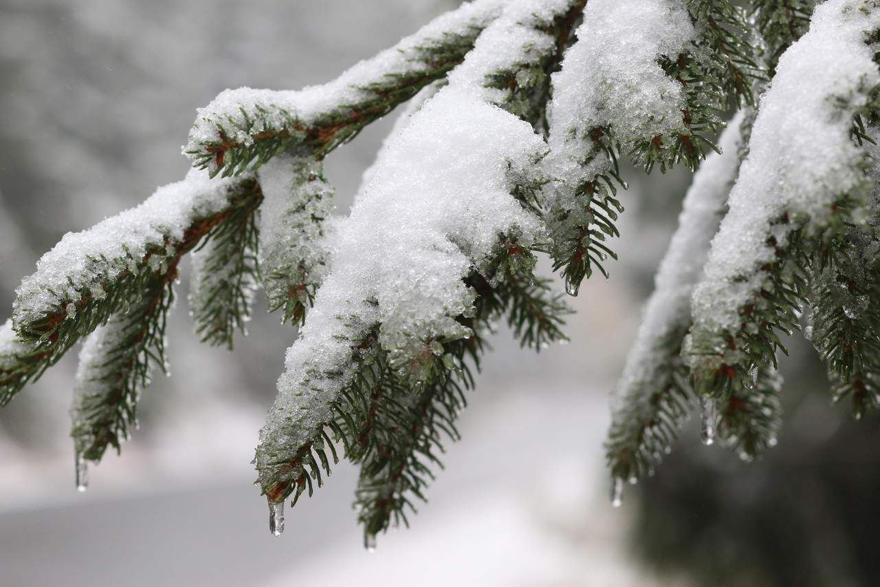 Wann kommt der Schnee nach SachsenAnhalt?