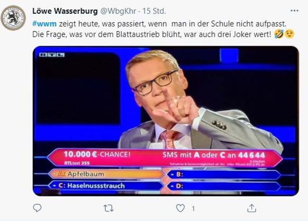Die 4000-Euro Frage bringt den Dachdecker zum erneiten Scheitern.