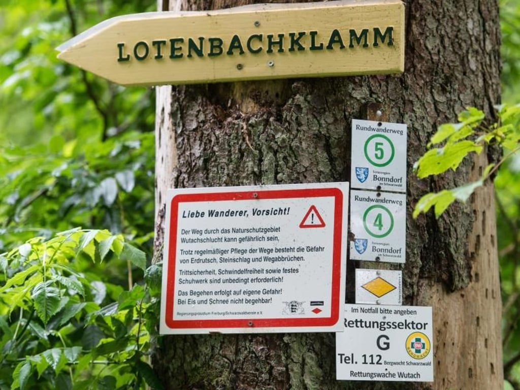 Es gibt mehrere Wanderwege in der Wutachschlucht bei Bonndorf. Foto: Patrick Seeger