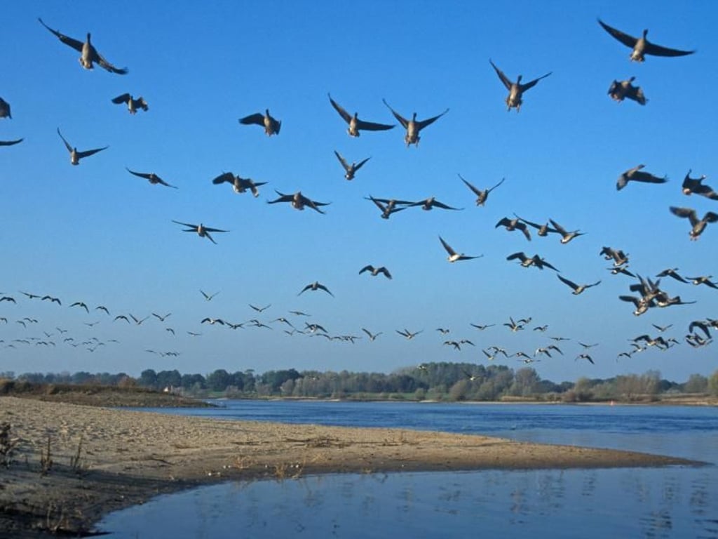 Auch für (Hobby-)Ornithologen hat die Prignitz viel zu bieten. Foto: Tourismusverband Prignitz/Dieter Damschen