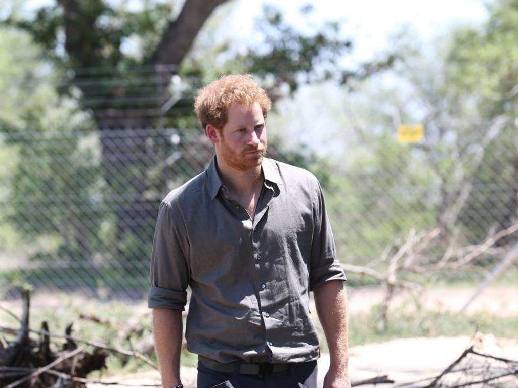 Prinz Harry zu Besuch im Kruger National Park in Südafrika 2015. Foto: epa