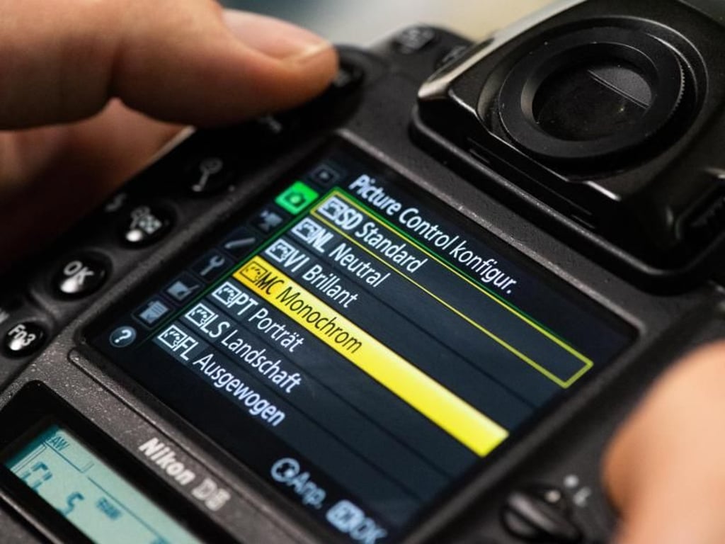 Viele Digitalkameras haben einen eigenen Modus für Monochromfotos. Wenn möglich, kann man die Bilder auch im RAW-Format aufnehmen und später am Rechner umwandeln. Foto: Franziska Gabbert